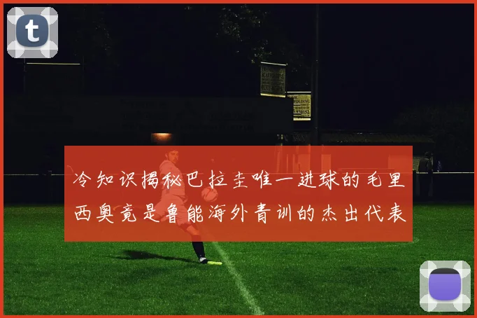 冷知识揭秘巴拉圭唯一进球的毛里西奥竟是鲁能海外青训的杰出代表