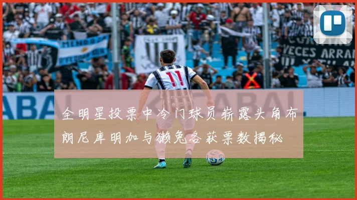 全明星投票中冷门球员崭露头角布朗尼库明加与獭兔各获票数揭秘
