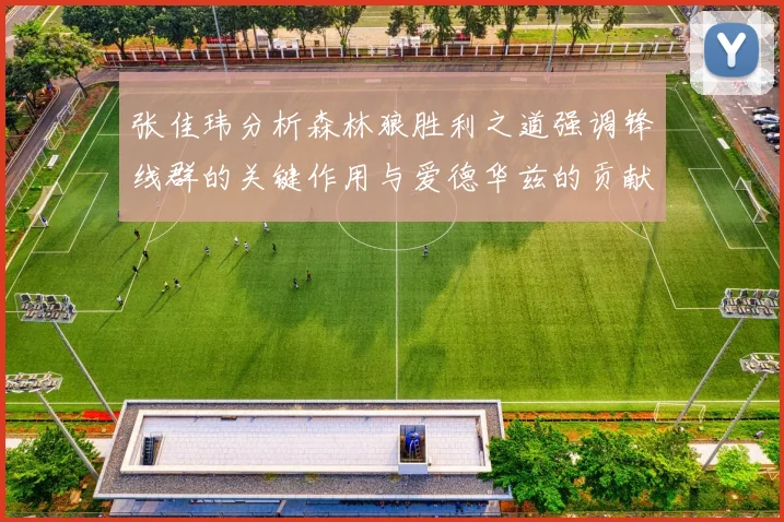 张佳玮分析森林狼胜利之道强调锋线群的关键作用与爱德华兹的贡献
