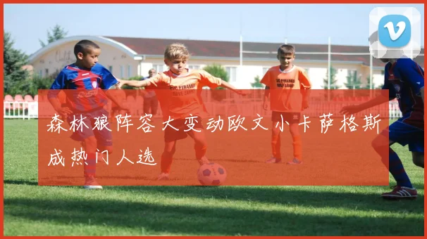 森林狼阵容大变动欧文小卡萨格斯成热门人选