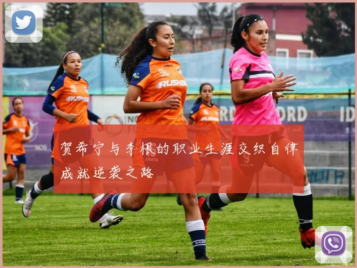 贺希宁与李根的职业生涯交织自律成就逆袭之路
